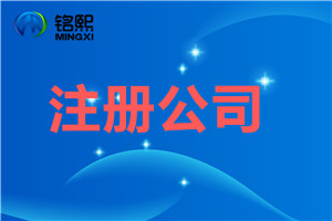 為什么注冊(cè)一人有限公司
